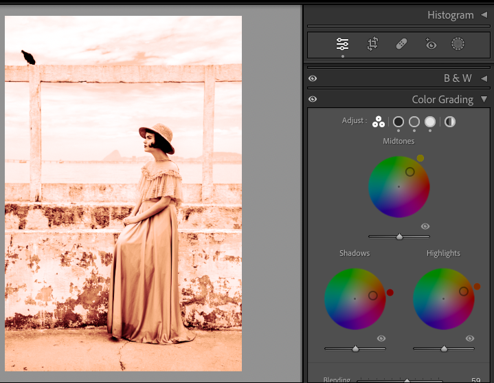 Comment Donner un Effet Vintage à Vos Photos avec Lightroom : Guide Pas à Pas 7 sepia vintage