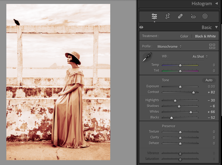 Comment Donner un Effet Vintage à Vos Photos avec Lightroom : Guide Pas à Pas 9 vintage
