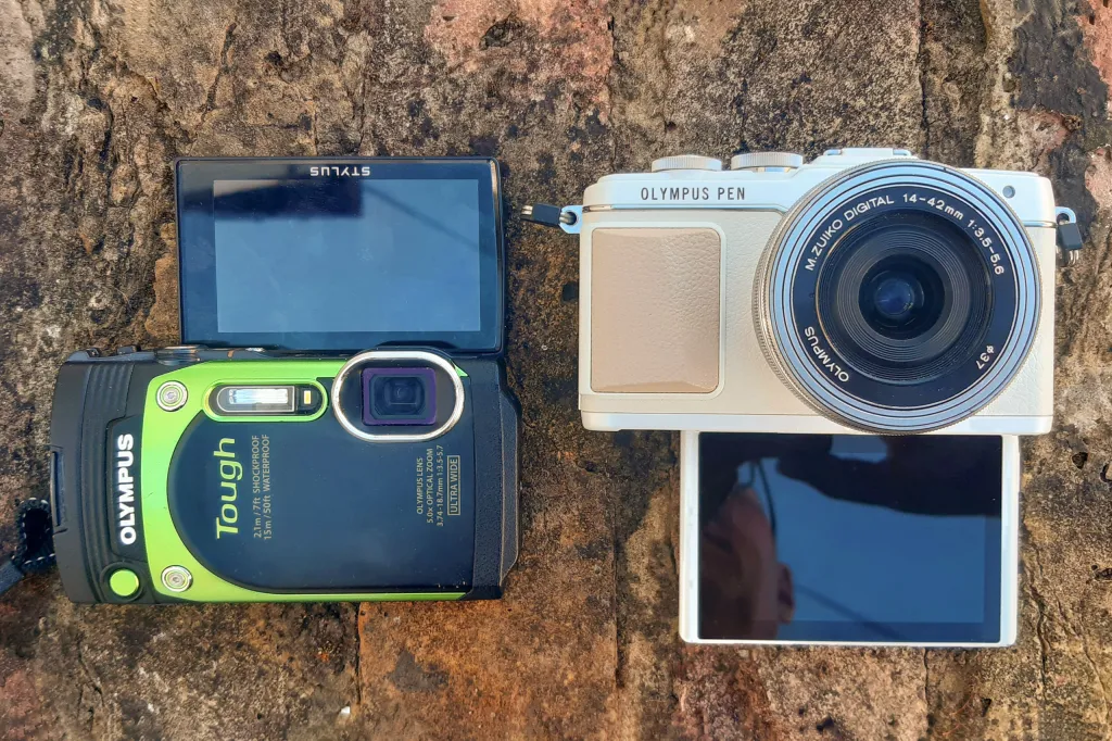 compact vs compact expert
