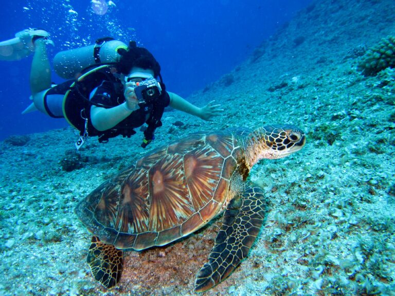 equiment-photograhie-sous-marine