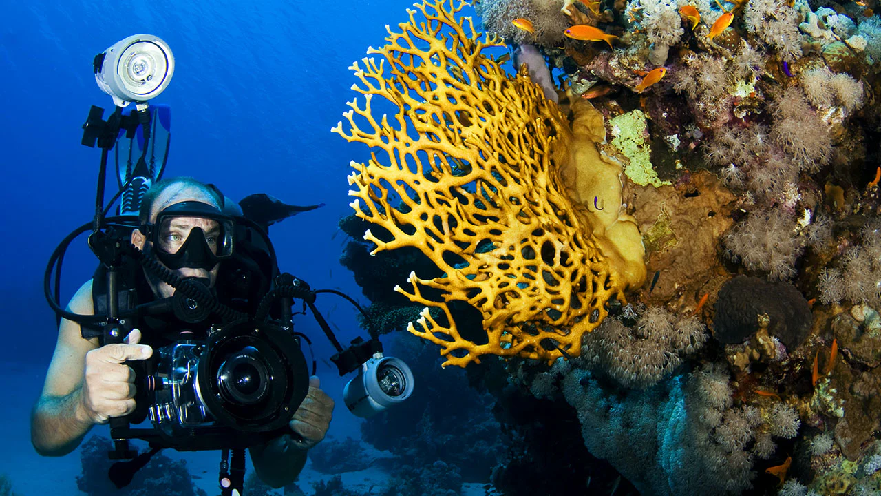 Photographe sous-marin avec corail coloré.